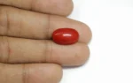 Red Coral - 7.86 Carats - Image 3
