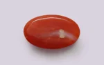 Red Coral - 9.06 Carats - Image 2
