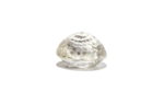 White Sapphire - 5.6 Carat - Image 3