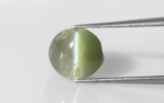 Alexandrite Cat's Eye, 3.15ct - Image 2