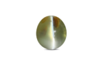 Cat's Eye - 5.19 Carat