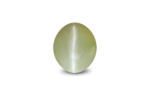 Cat's Eye Chrysoberyl - 7.61 Carat