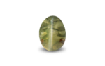 Cat's Eye Chrysoberyl - 6.01 Carat