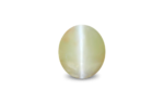 Cat's Eye Chrysoberyl - 5.1 Carat