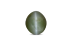 Cat's Eye - 7.93 Carat
