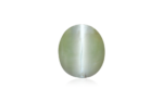 Cat's Eye Chrysoberyl - 4.43 Carat