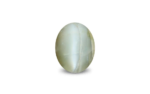 Cat's Eye Chrysoberyl - 19.62 Carat