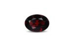 Garnet - 10.36 Carat
