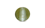 Cat's Eye Chrysoberyl - 18.27 Carat