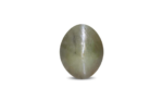 Cat's Eye Chrysoberyl - 18.11 Carat