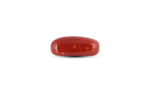 Japanese Red Coral - 8.75 Carat - Image 2