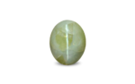 Cat's Eye Chrysoberyl - 17.1 Carat