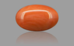 Red Coral - 10.54 Carat