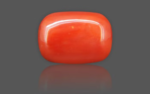 Red Coral - 16.00 Carat