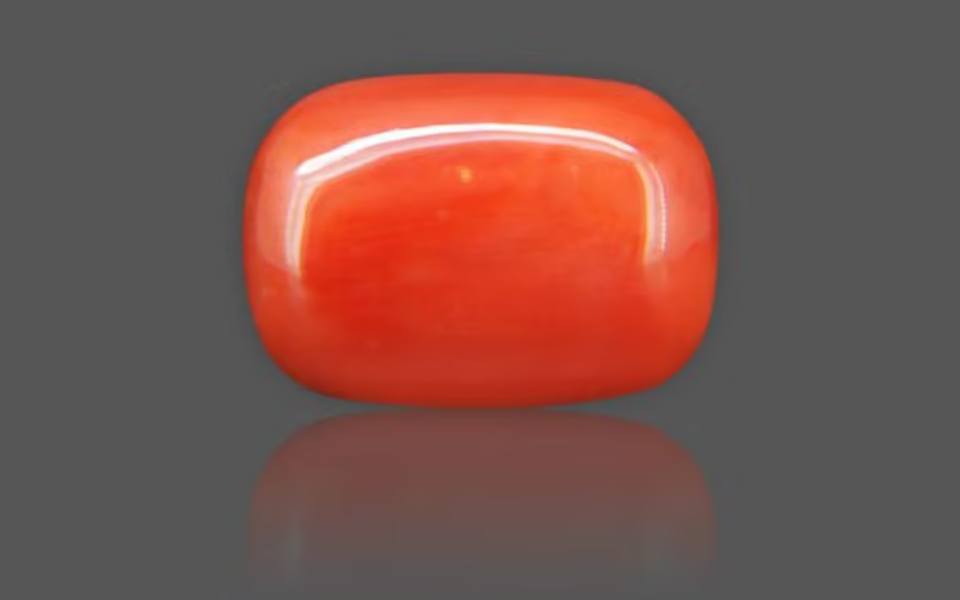 500 (51) Red Coral - 16.00 Carat - Image 1