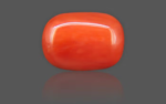 Red Coral - 16.86 Carat