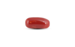 Japanese Red Coral - 7.25 Carat