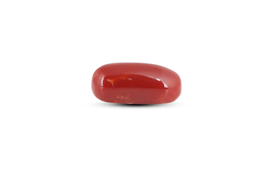 500 (54) Japanese Red Coral - 7.25 Carat - Image 1