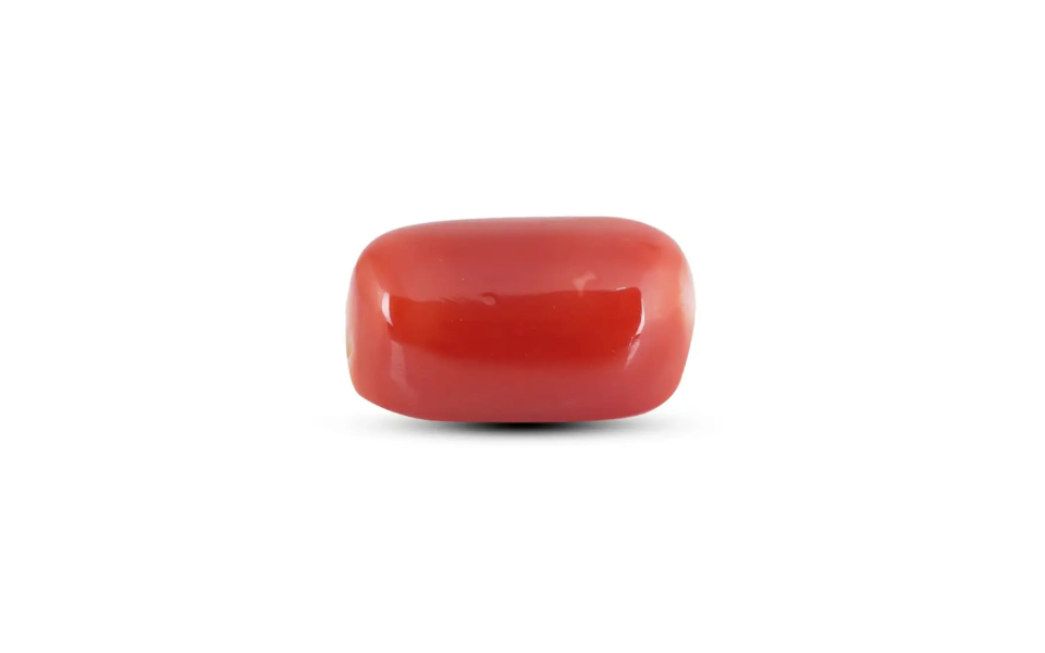 500 (55) Japanese Red Coral - 6 Carat - Image 1