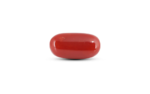 Japanese Red Coral - 7.3 Carat