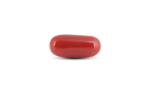Japanese Red Coral - 6.05 Carat
