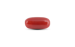 Japanese Red Coral - 6.15 Carat