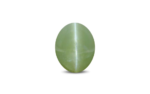 Cat's Eye Chrysoberyl - 15.53 Carat