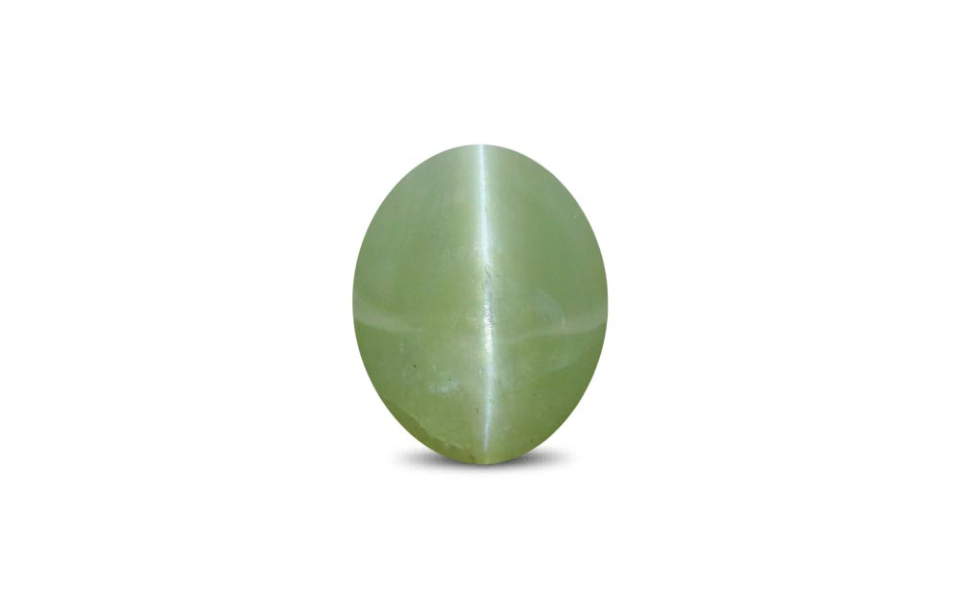 500 (6) Cat's Eye Chrysoberyl - 15.53 Carat - Image 1