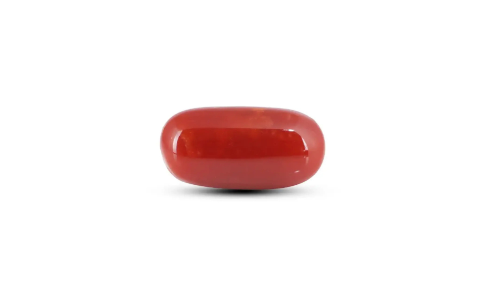 500 (61) Japanese Red Coral - 7.75 Carat - Image 1