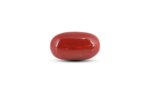 Japanese Red Coral - 7.8 Carat
