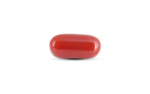 Japanese Red Coral - 6.45 Carat