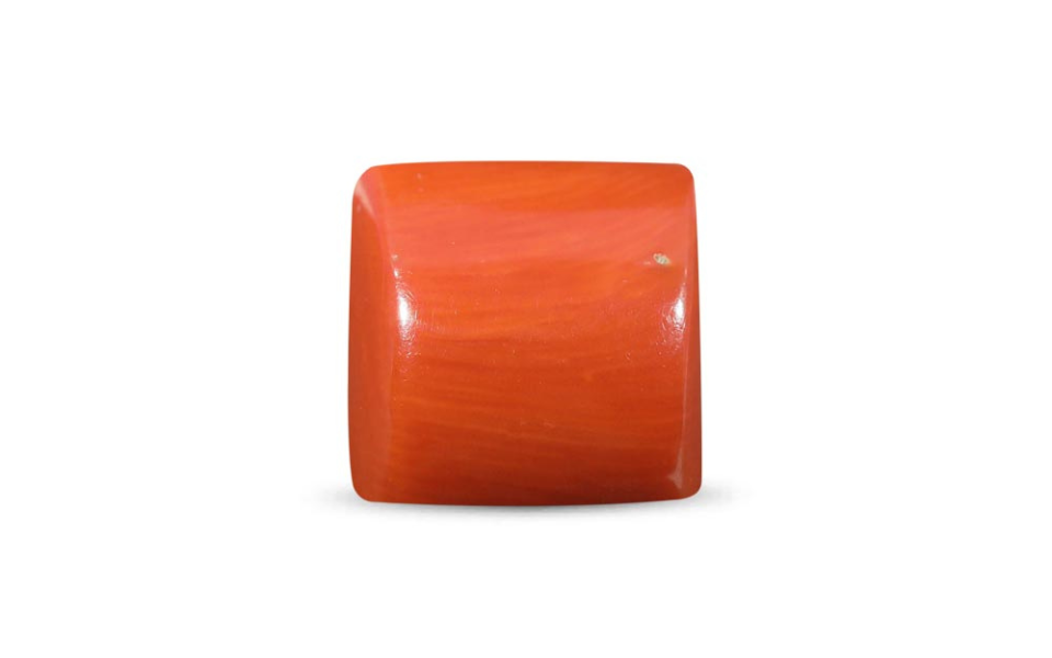 500 (64) Red Coral - 14.20 Carat - Image 1