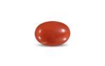 Red Coral -14.03 Carat