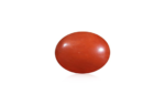 Red Coral - 12.87 Carat