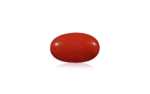 Red Coral - 17.81 Carat
