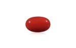 Red Coral - 10.28 Carat
