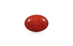 Red Coral - 11.29 Carat