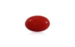 Red Coral - 10.15 Carat