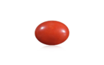 Red Coral - 9.87 Carat