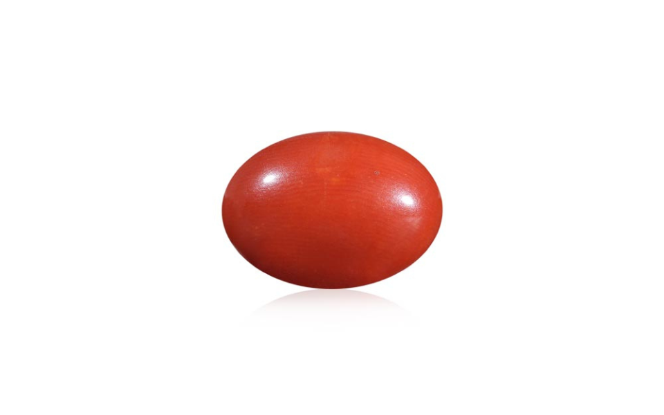 500 (73) Red Coral - 9.87 Carat - Image 1