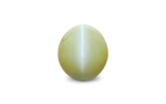 Cat's Eye Chrysoberyl - 14.52 Carat