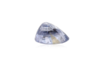 Bi-Colour Sapphire(Pitambari) - 3.68 Carat - Image 2