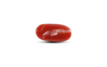 Japanese Red Coral - 8.75 Carat - Image 3