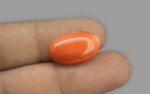 Red Coral - 10.54 Carat - Image 2