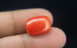 Red Coral - 16.00 Carat - Image 2