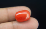 Red Coral - 16.86 Carat - Image 2