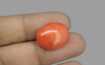 Red Coral - 12.40 Carat - Image 2