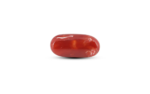 Japanese Red Coral - 7.25 Carat - Image 2