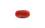 Japanese Red Coral - 7.3 Carat - Image 2
