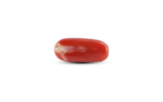Japanese Red Coral - 6.05 Carat - Image 2
